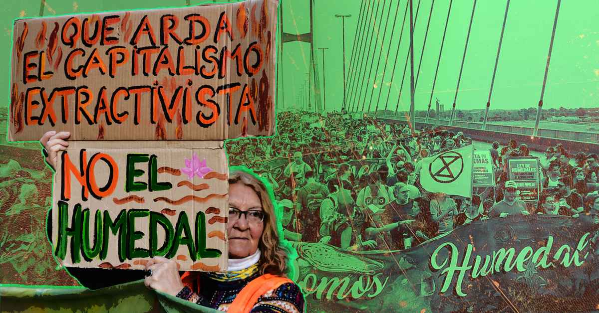 imagen de la nota Humedales: las luchas populares por su protección