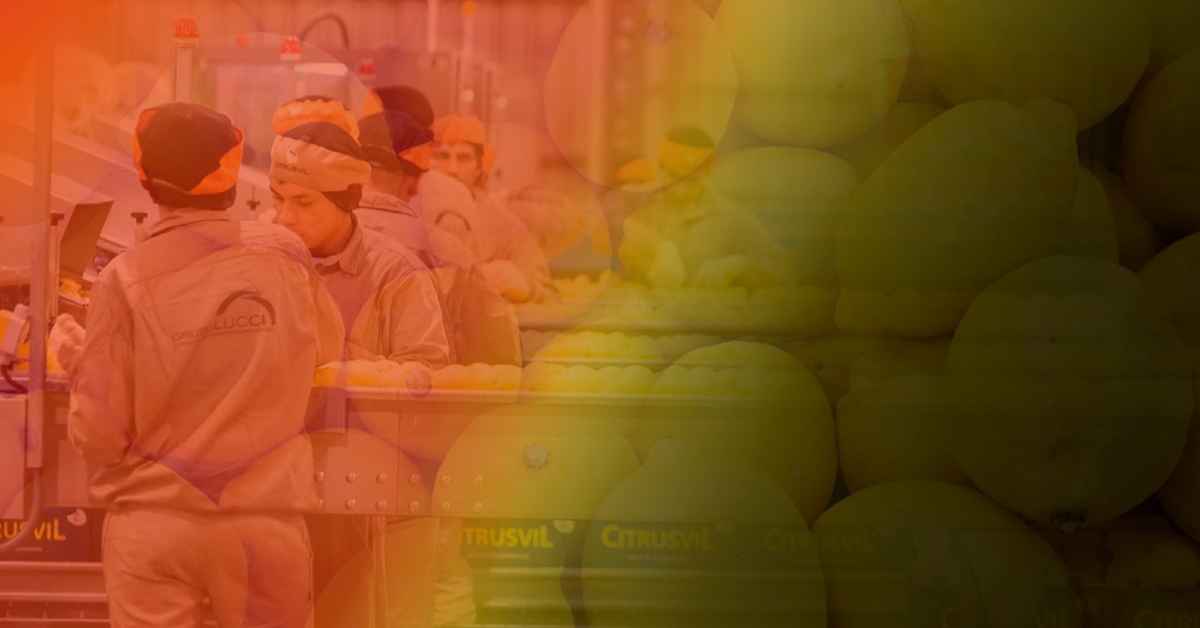 imagen de la nota ¿La industria del limón se deslocaliza?