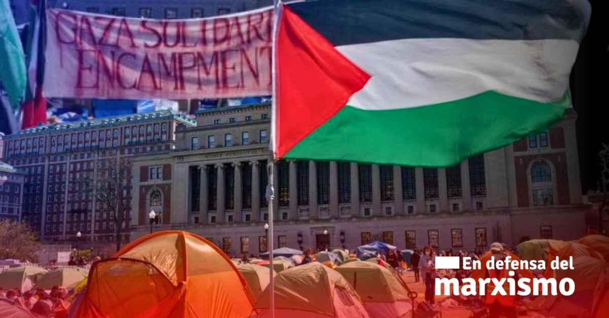 imagen de la nota Un repaso a las protestas estudiantiles por Palestina en EE.UU. 